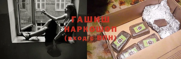 сатива Новозыбков