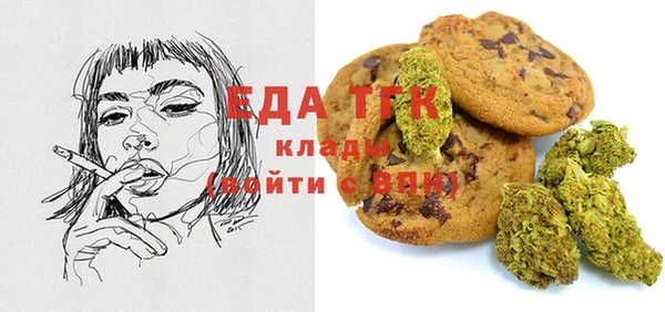 сатива Новозыбков