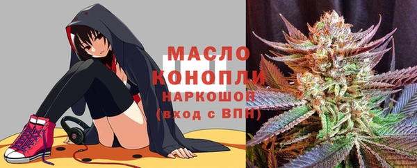 сатива Новозыбков